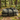 Rolling Duffel Bags